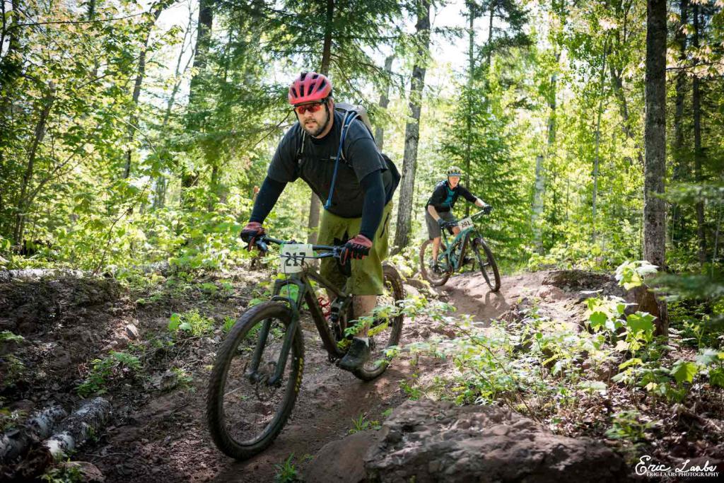 Two mountain bikers ride on a curvy trail in a forest.